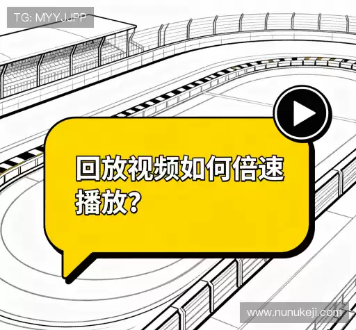疑问全解